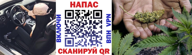 Каннабис план  закладки  Цивильск 